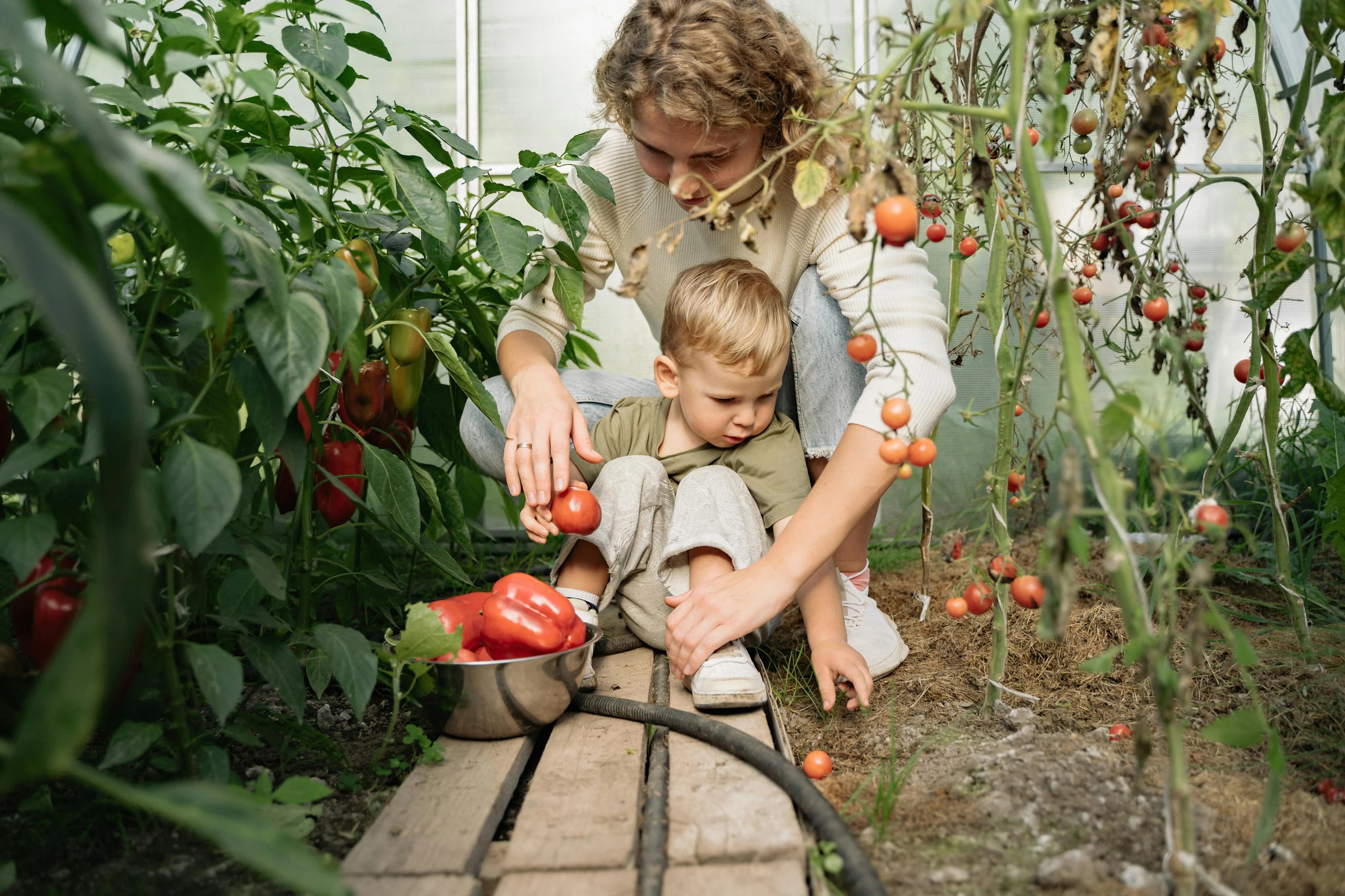 Companion Planting Guide: Plants That Protect Each Other and Boost Garden Health