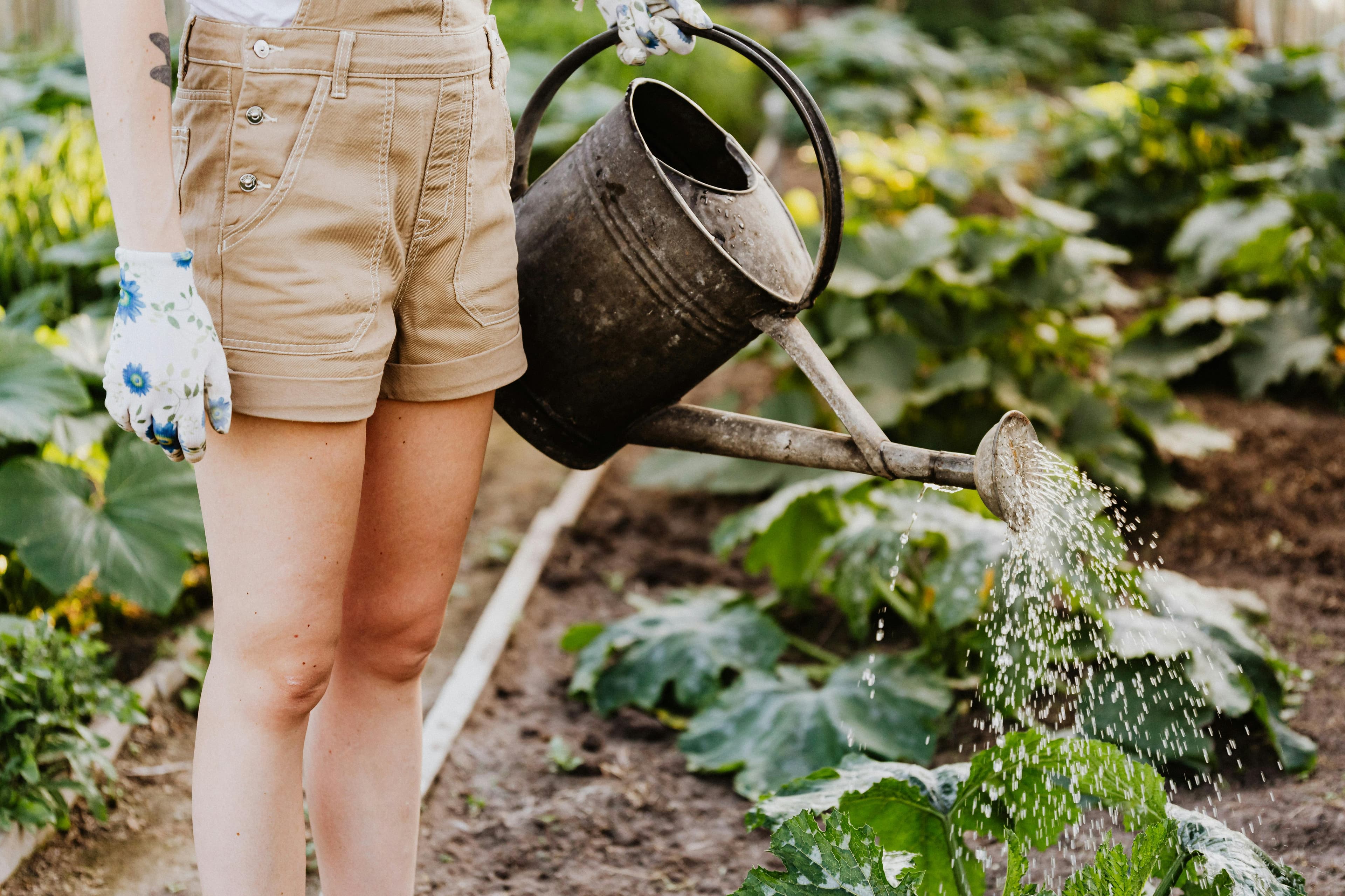 Beyond the bloom: How AI is cultivating the future of foodscaping