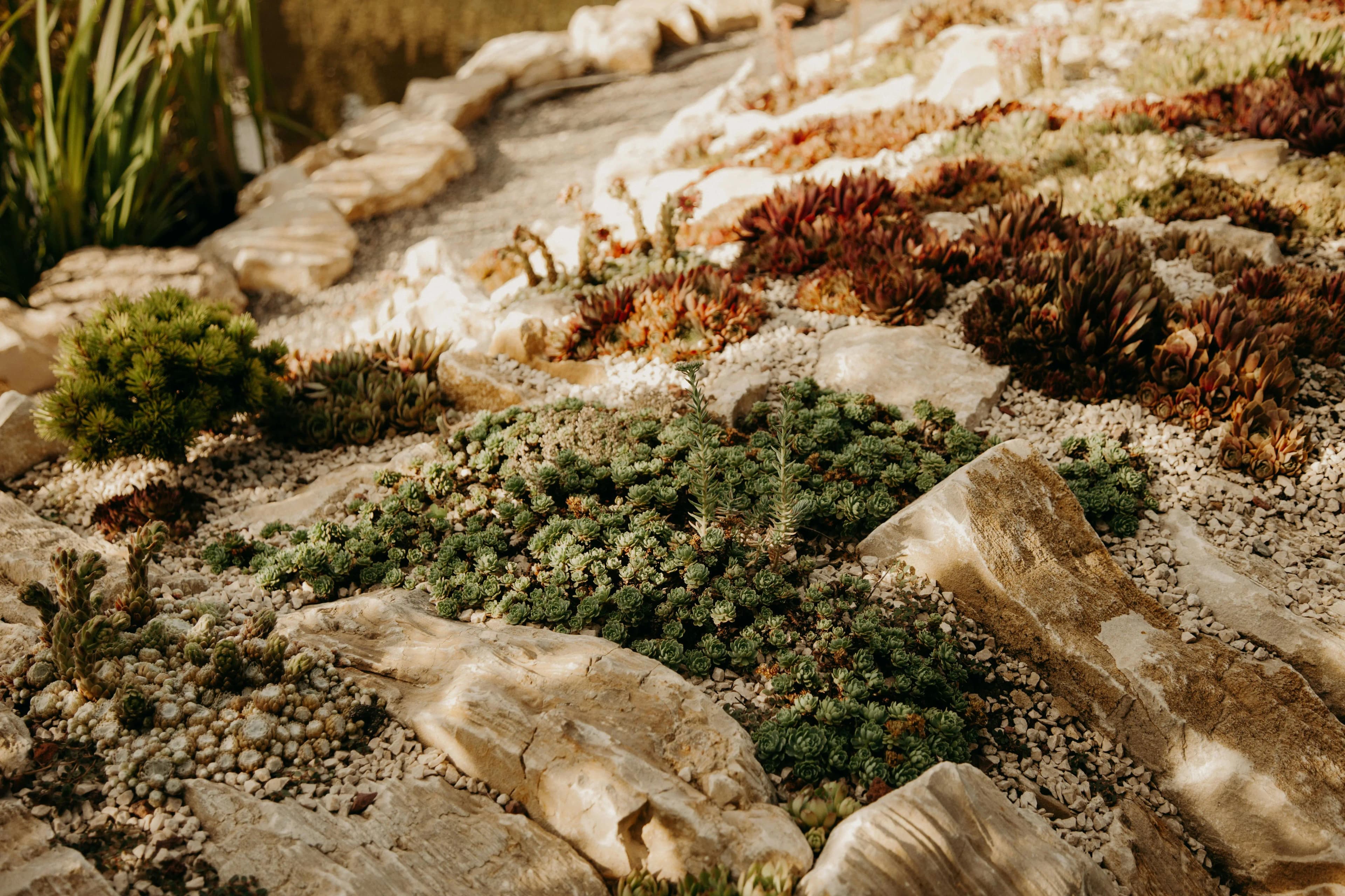 Garden Microclimates: How to Find and Use Your Yard's Secret Growing Spots