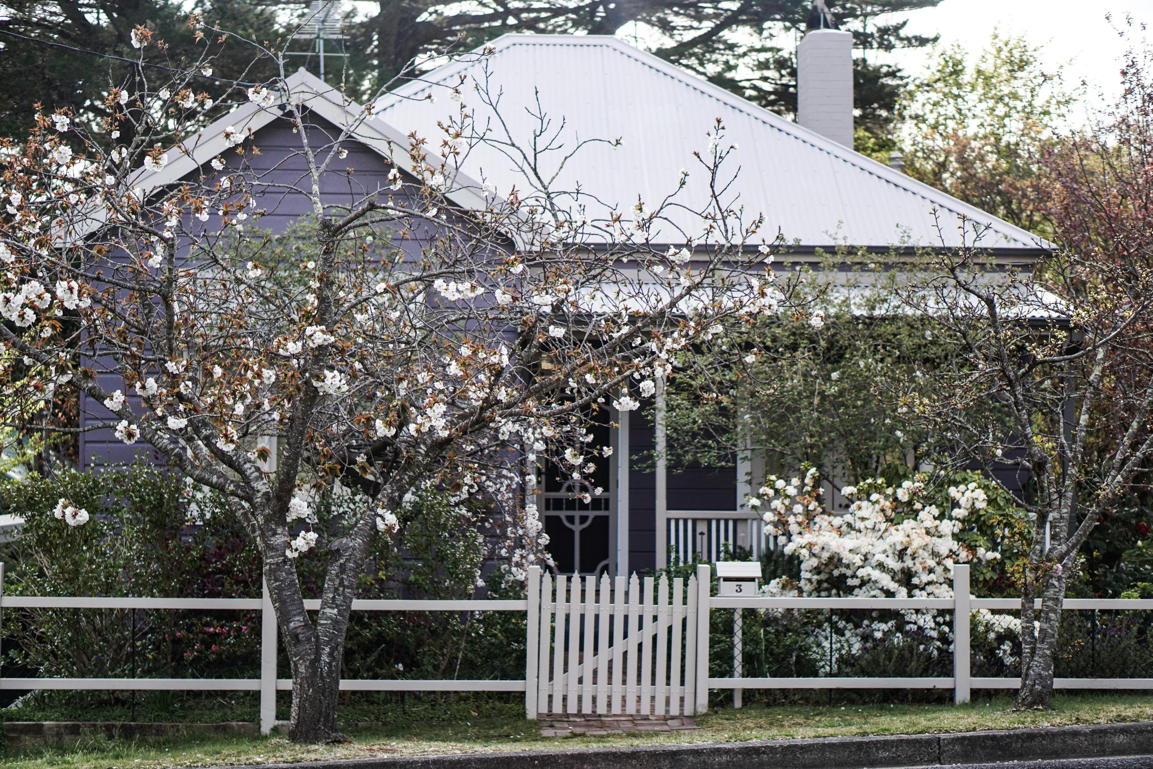 How Garden Colors Affect Your Home's Value