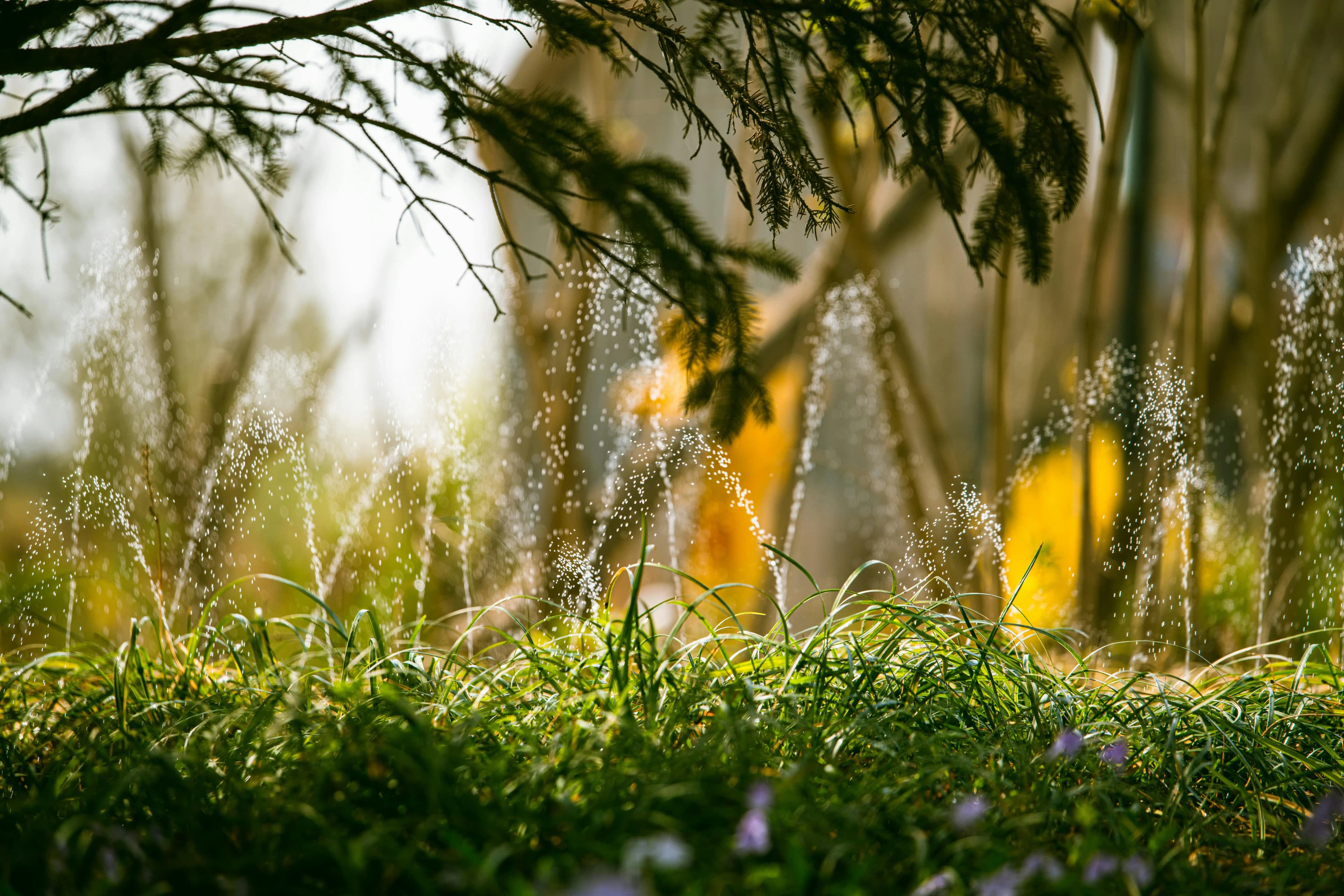 The Best Smart Sprinklers for Your Garden
