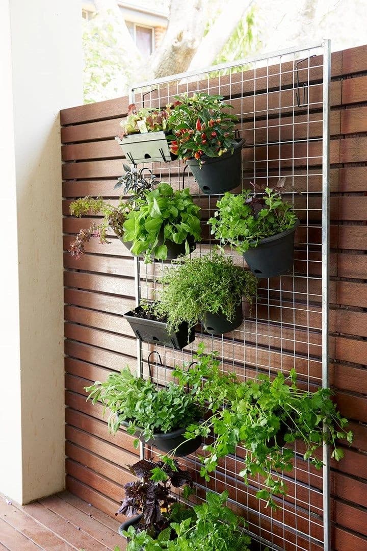 Vertical Gardening Ideas: Transform Small Spaces with Living Walls and Space-Saving Garden Design