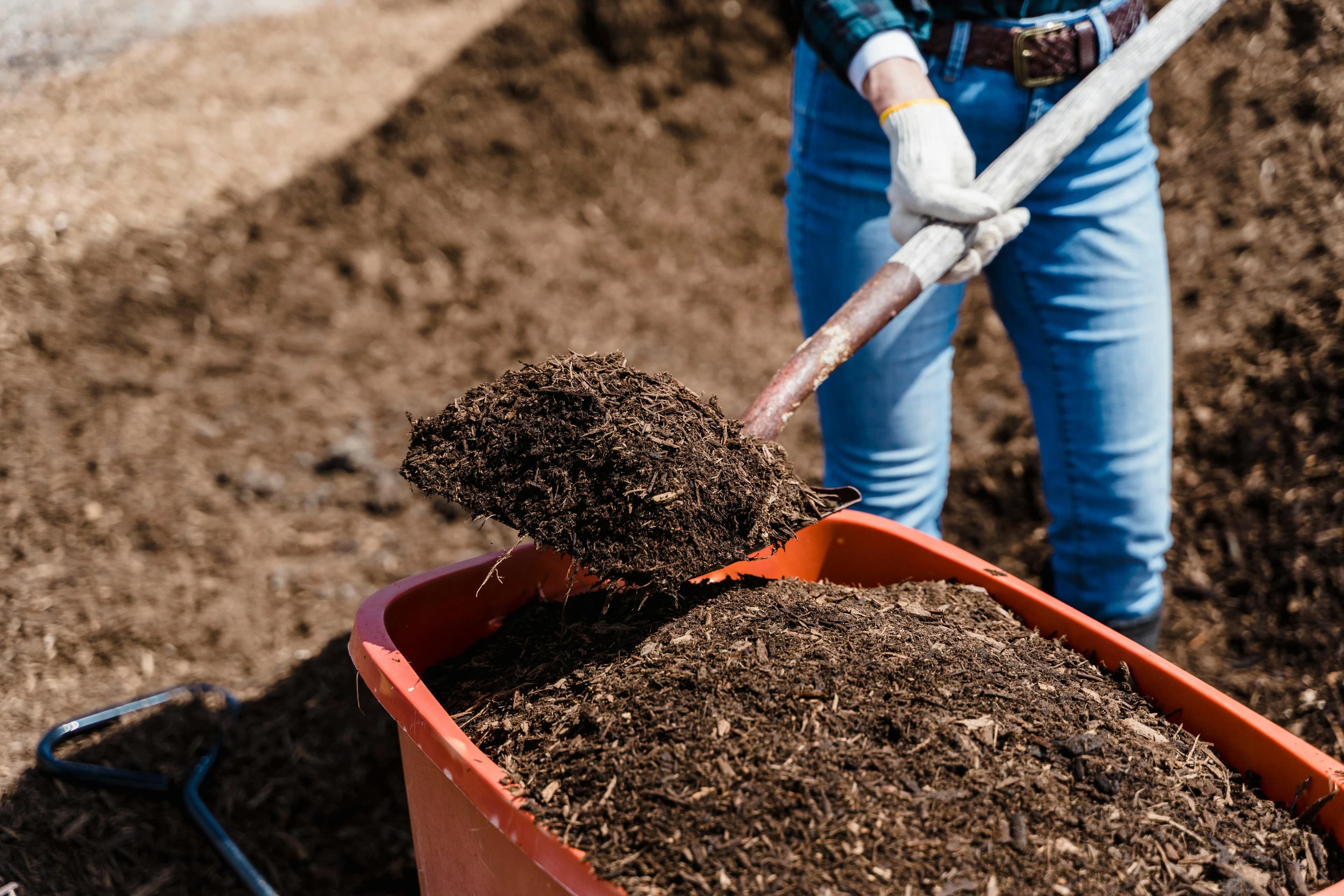 Zero Waste Gardening: Complete Guide to Sustainable Garden Practices and Circular Gardening